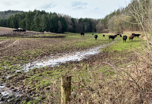 24-03-01 15-44-48 8884